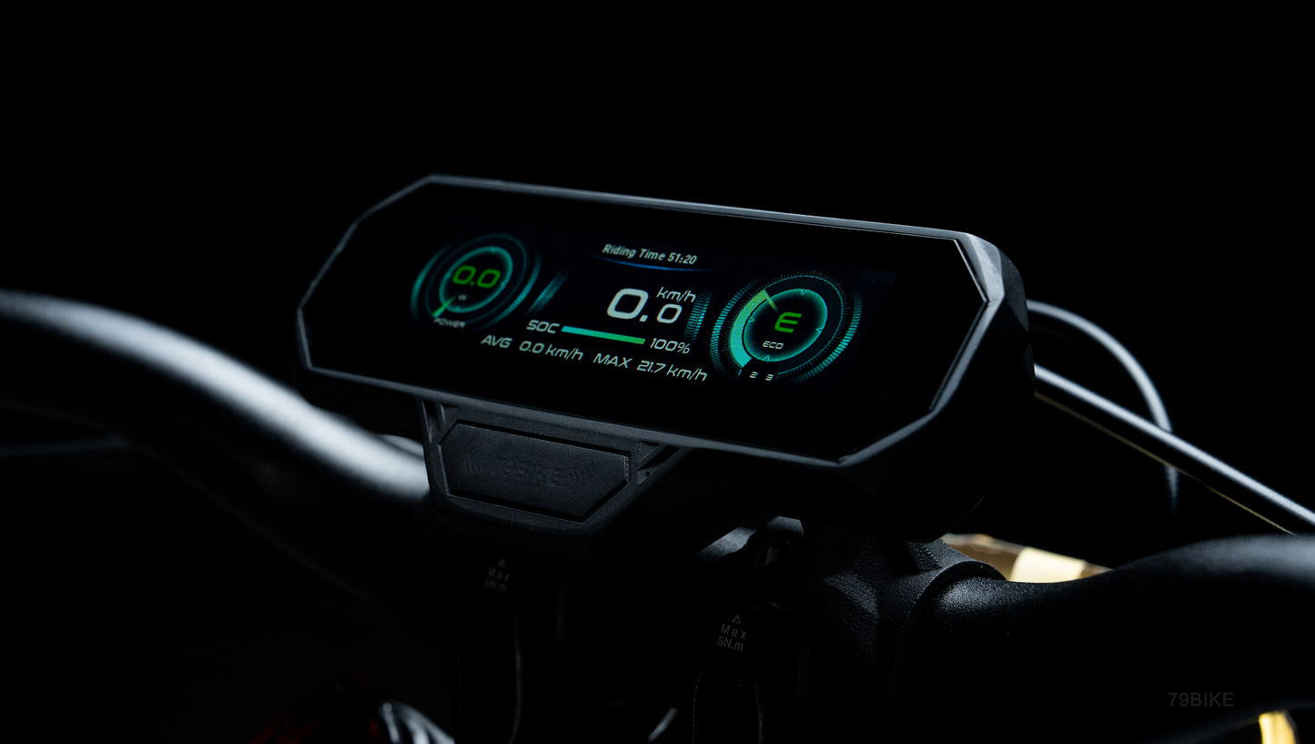 79BIKE-Falcon Pro Electric Dirt Bike(released)