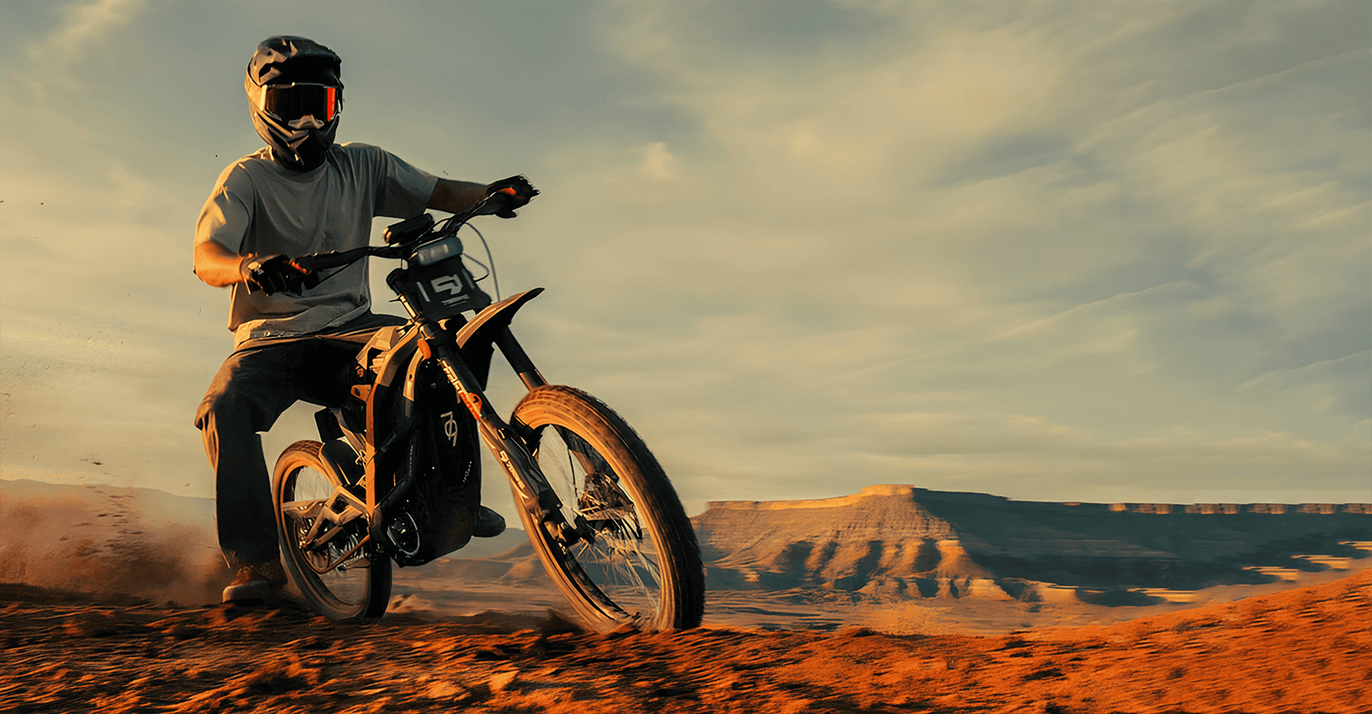 79BIKE Falcon Pro off-road