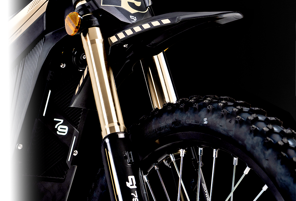 79BIKE Lynx Electric Dirt Bike — FastAce Front Fork