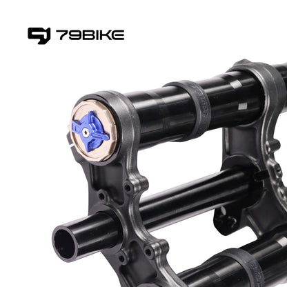 FastAce ALX13RC 2.0 Fork