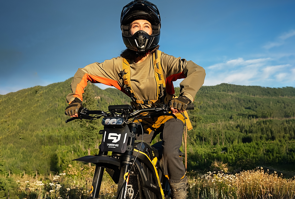 79BIKE Falcon Pro FOC controller